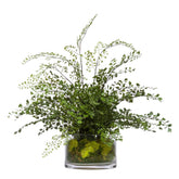 Maiden Hair in Glass - Hedi's Furniture